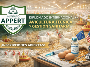 ChatGPT Image 23 feb 2026, 03_25_07 p.m..png