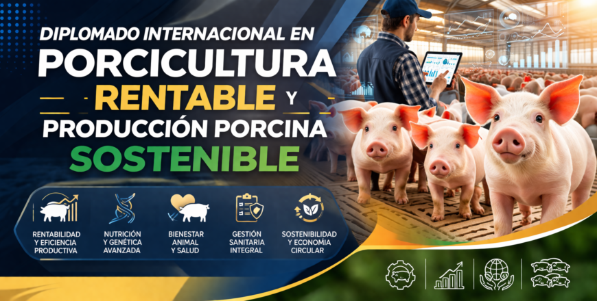 ChatGPT Image 21 mar 2026, 08_34_28 a.m..png