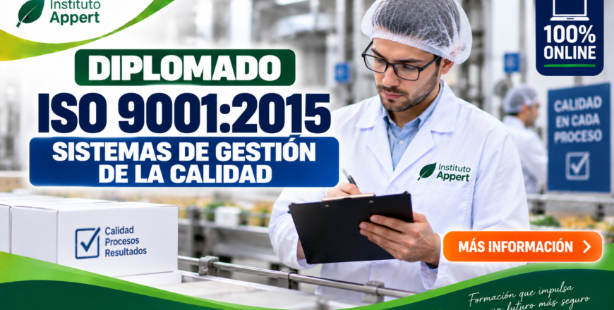 Diplomado ISO 9001_2015 en línea.png